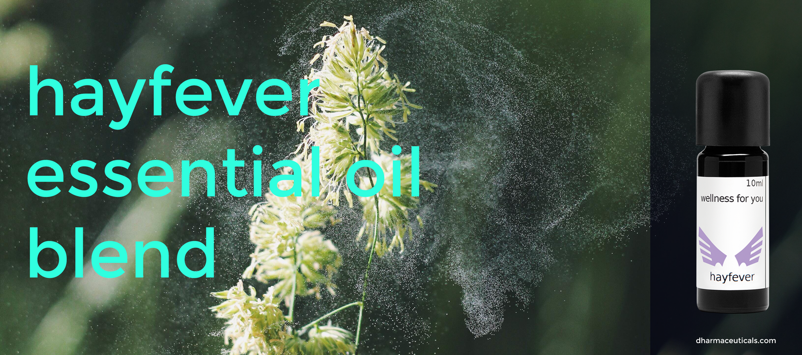Essential Oil Blends for Asthma and Hay Fever
