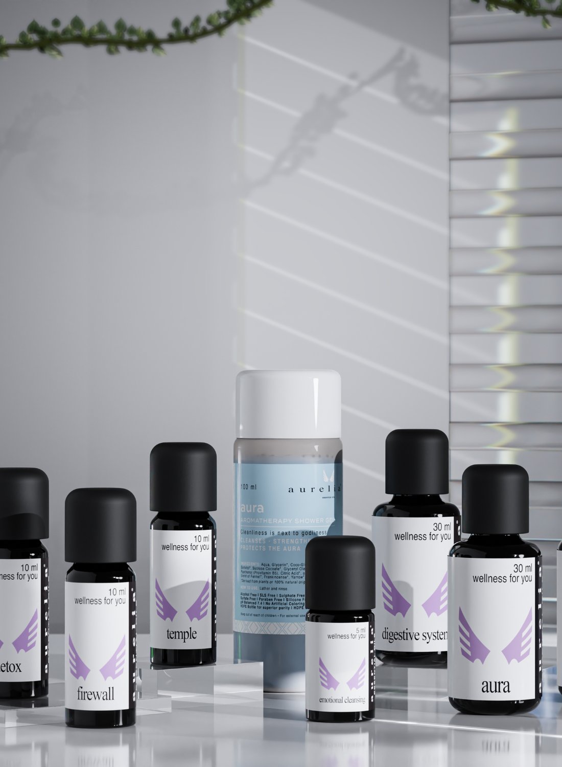 Energy Clearing + Protection