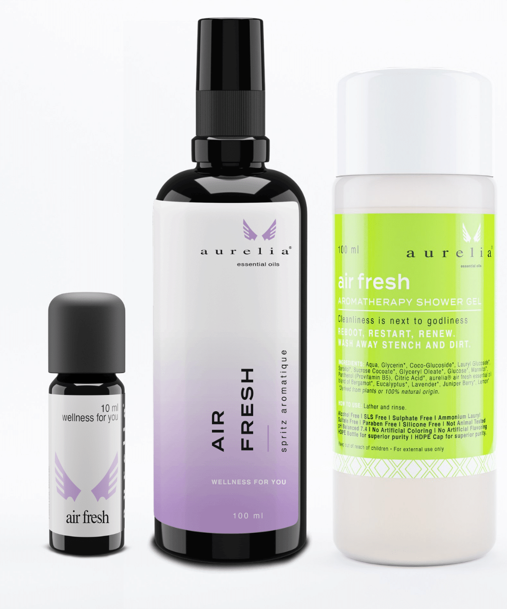 Air Fresh Xmas Gift Set